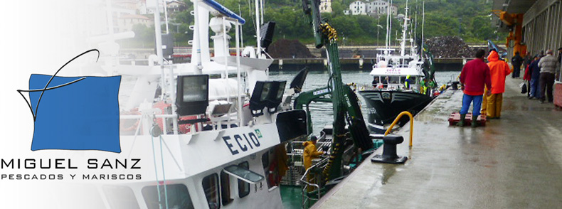 fishing port of Pasajes